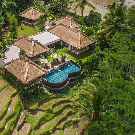 Villa Amrita Ubud Zewnętrze zdjęcie