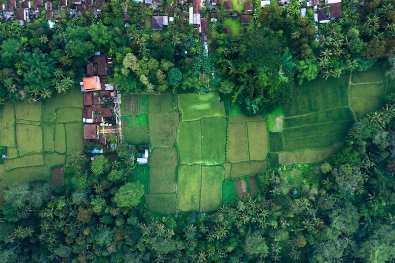 Villa Amrita Ubud Zewnętrze zdjęcie