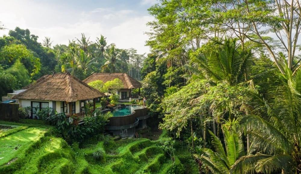 Villa Amrita Ubud Zewnętrze zdjęcie